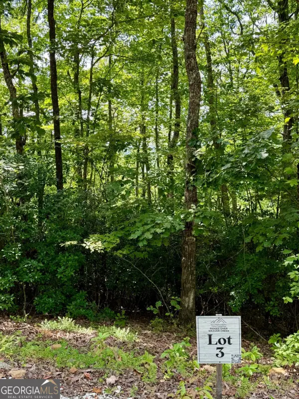 LOT 3 Blue Horizon Drive, Blue Ridge, GA 30513