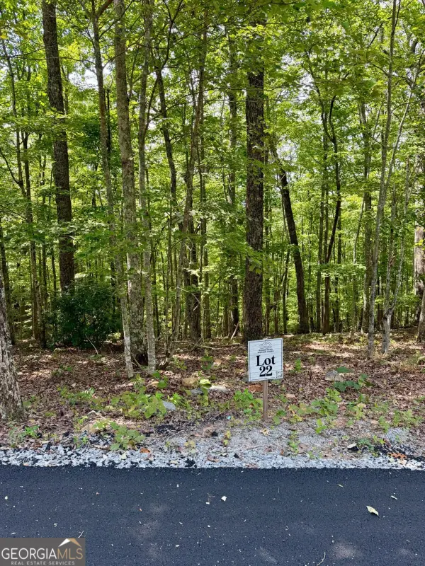 LOT 22 Blue Horizon Drive, Blue Ridge, GA 30513