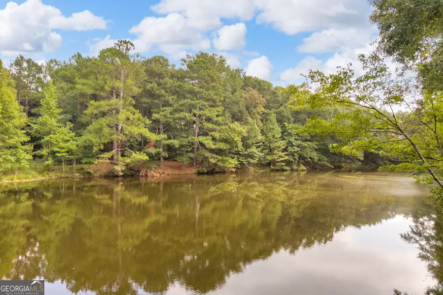 0 Wesley Chapel Road, Greensboro, GA 30642 - #3