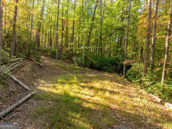 TRACT 1 Turniptown Road, Ellijay, GA 30536
