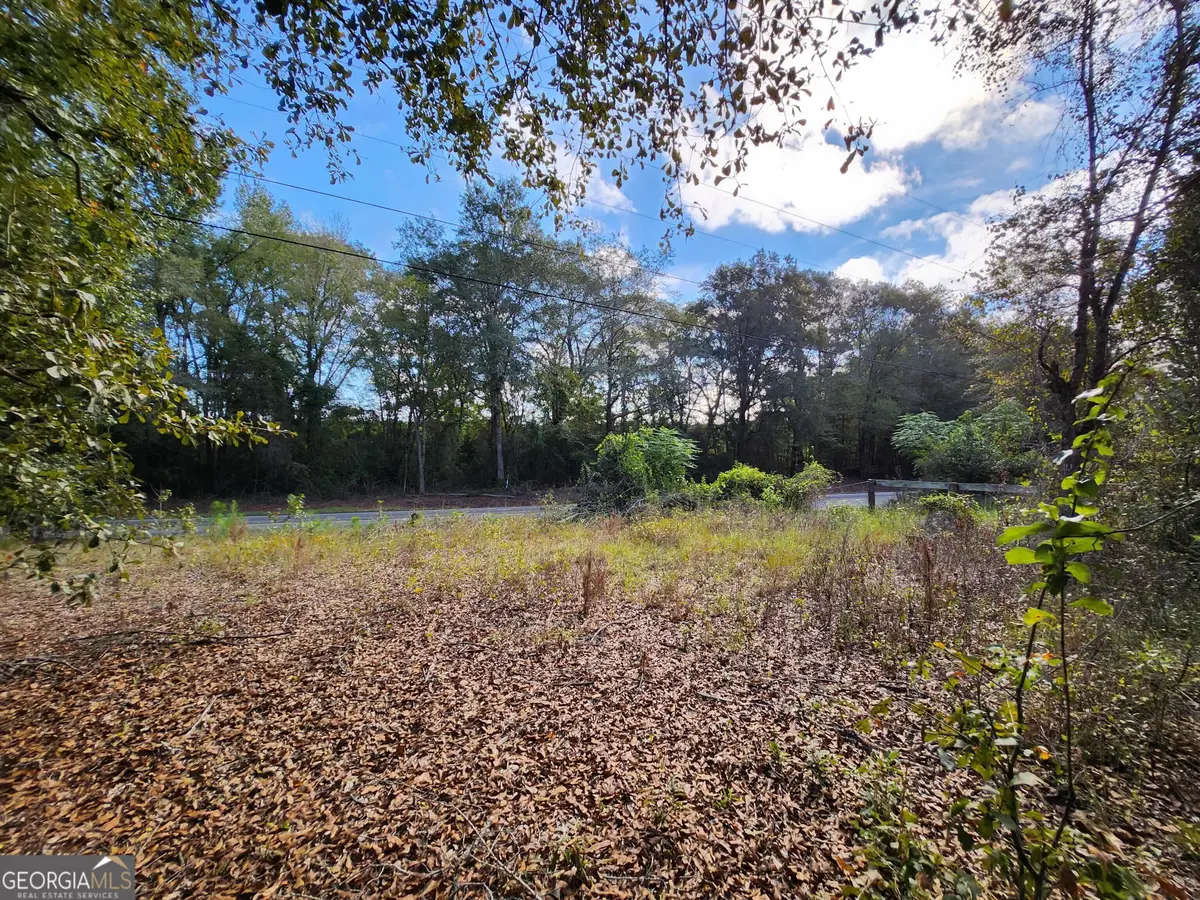 2911 Vinson Highway Se, Milledgeville, GA 31061 - #1
