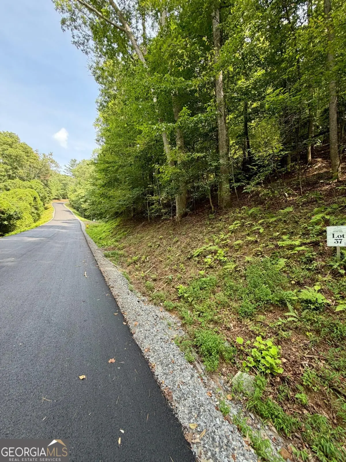 LOT 37 Blue Horizon Drive, Blue Ridge, GA 30513 - #1