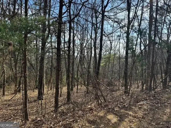 0 Scarlett Pippin Lane #1604, Clarkesville, GA 30523