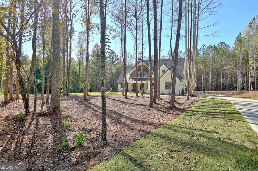 196 Bob Smith Road, Sharpsburg, GA 30277 - #2