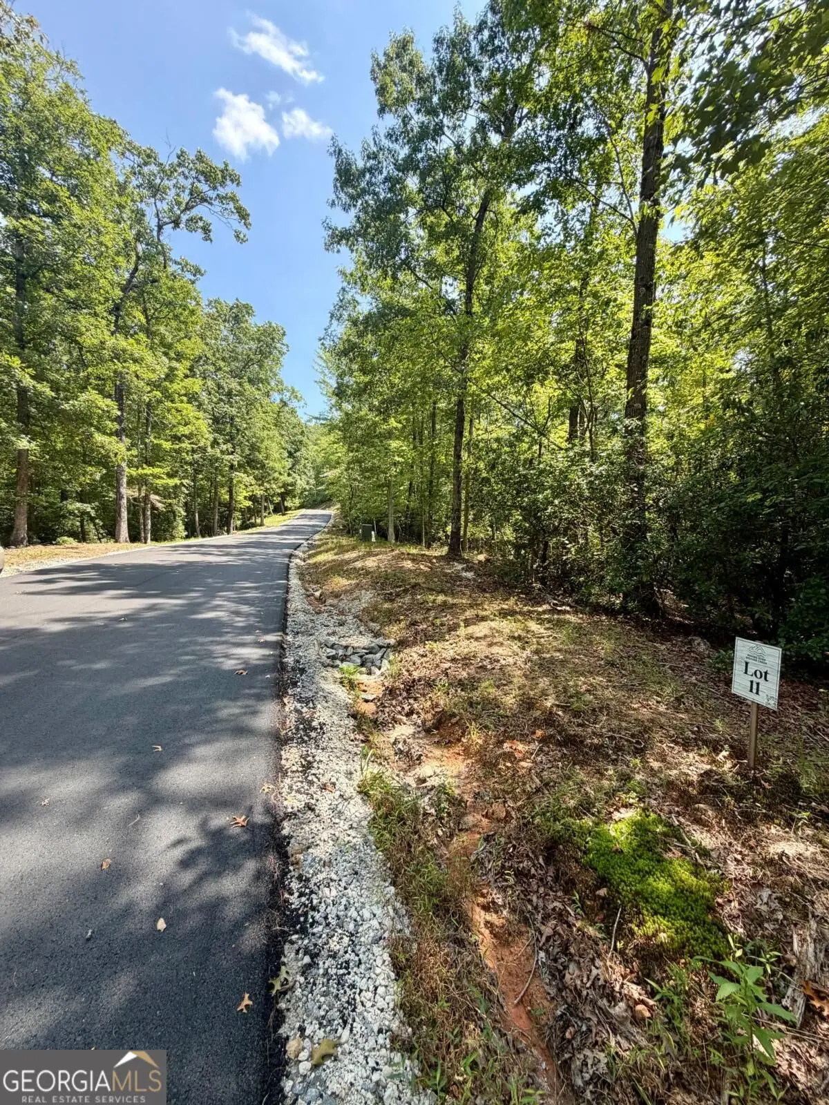 LOT 11 Sapphire Ridge, Blue Ridge, GA 30513 - #1