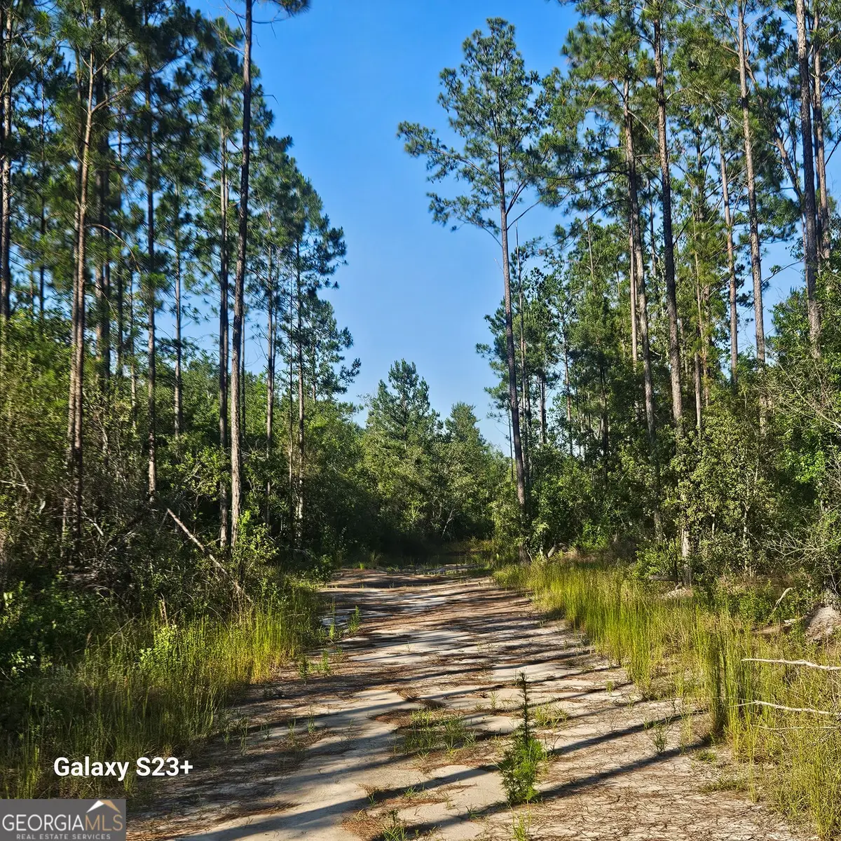 0 Mill Branch Club Road Lot 1p, Pembroke, GA 31321 - #1