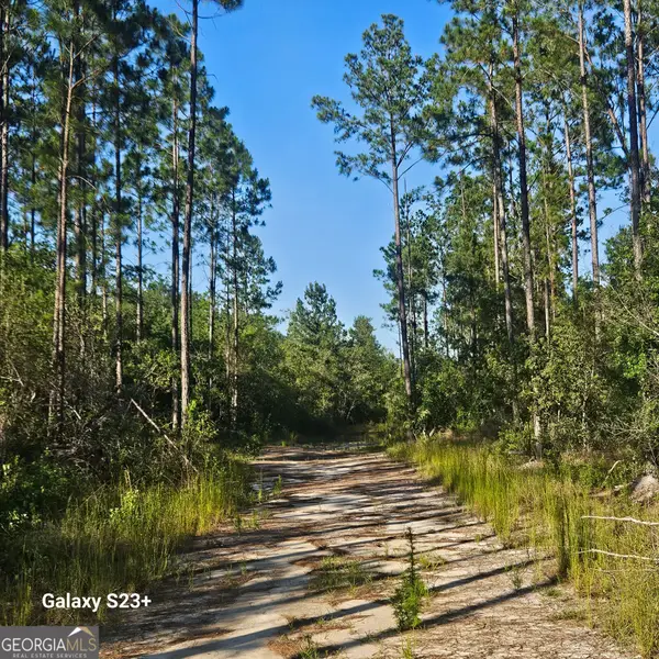 0 Mill Branch Club Road Lot 1p, Pembroke, GA 31321