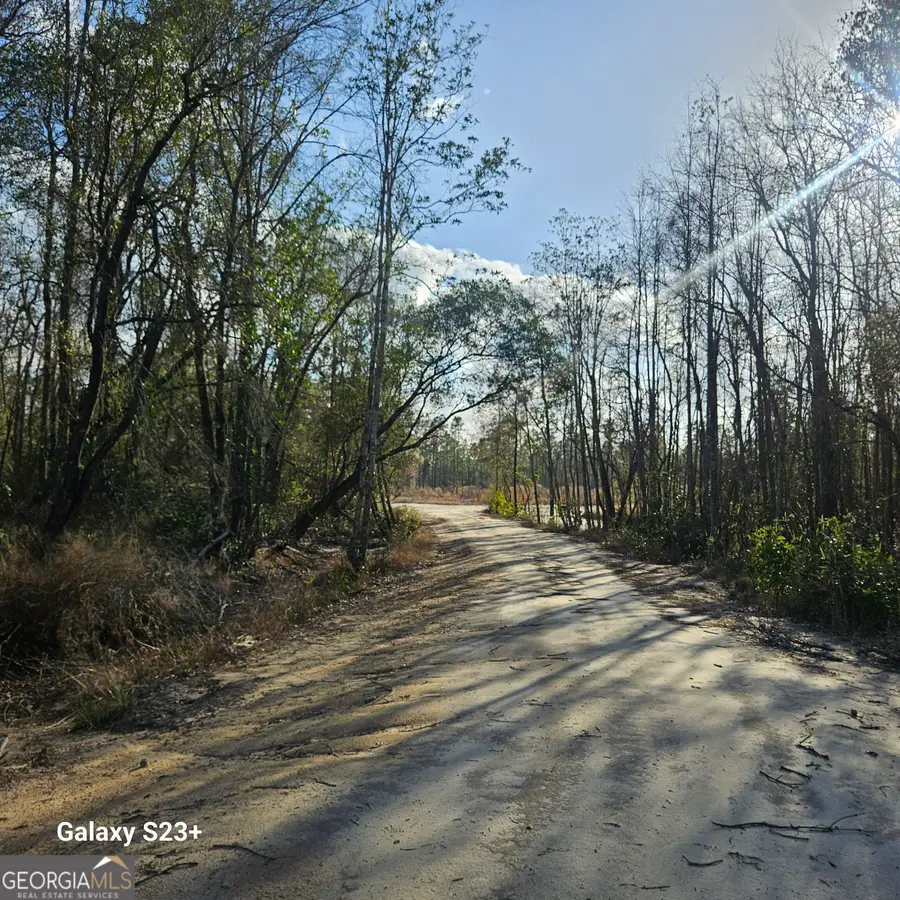 0 Mill Branch Club Road Lot 1q, Pembroke, GA 31321 - #3