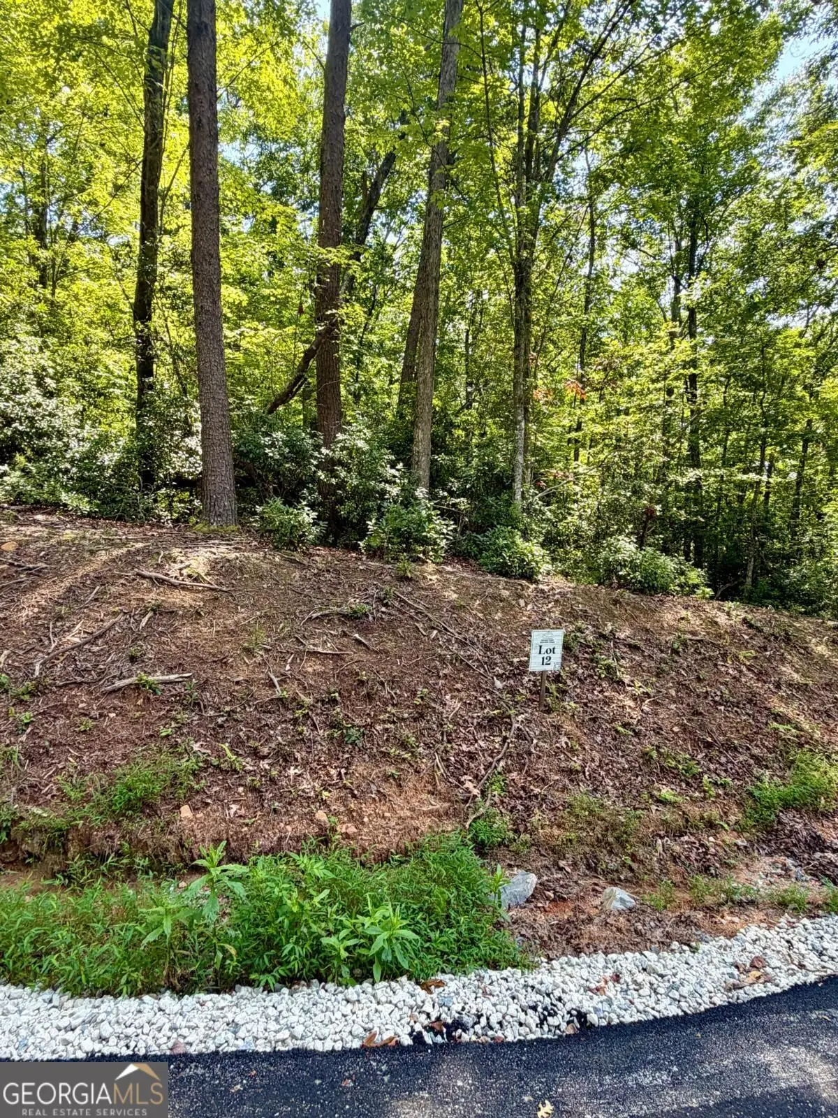 LOT 12 Sapphire Ridge, Blue Ridge, GA 30513 - #1