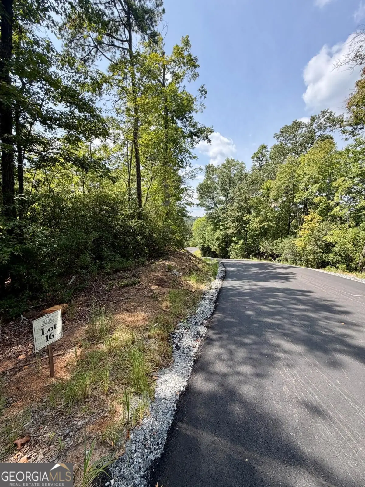 LOT 16 Turquoise Ridge, Blue Ridge, GA 30513 - #1