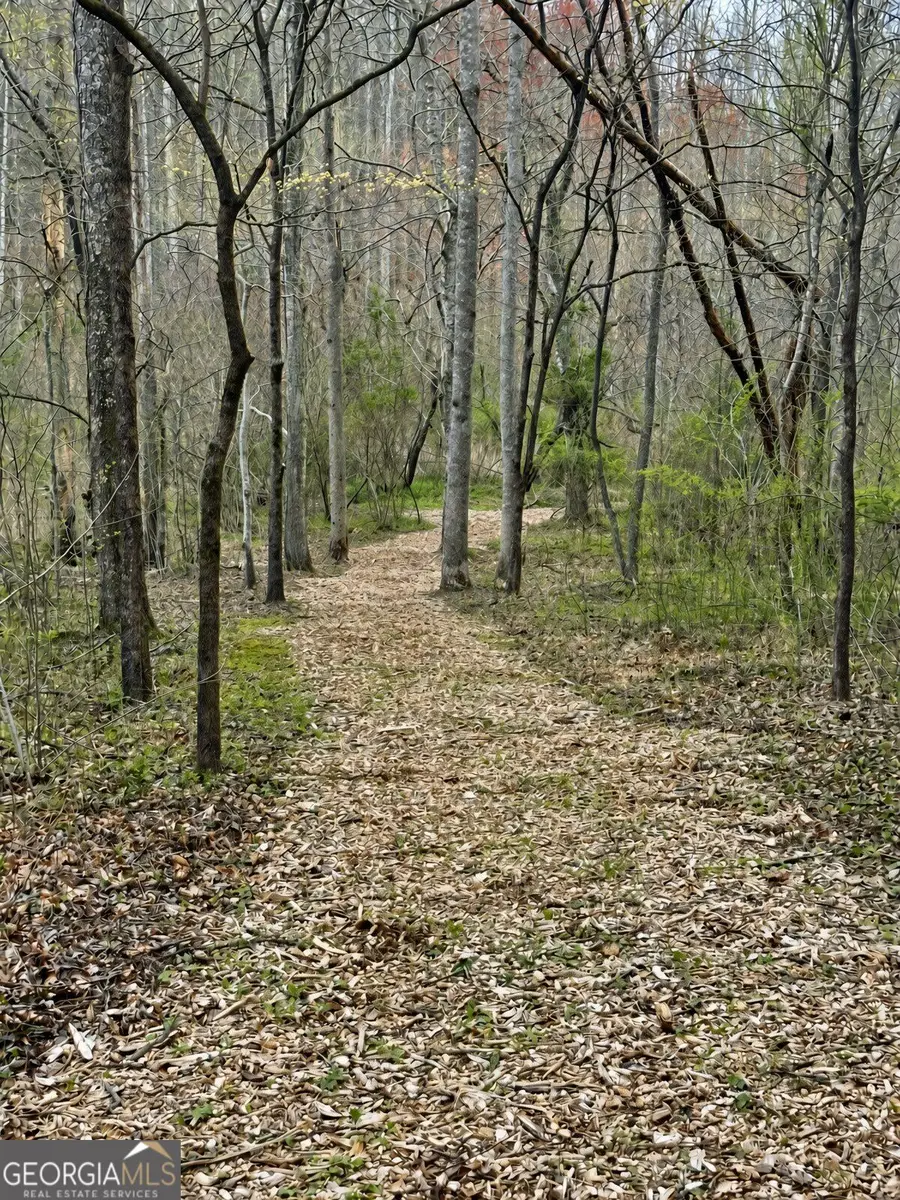 LOT 18 Turquoise Ridge, Blue Ridge, GA 30513 - #3