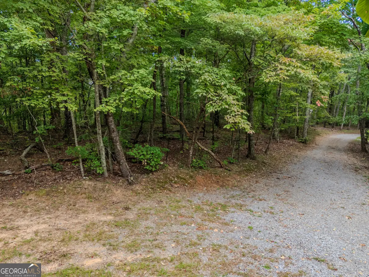 0 Clearview Drive, Talking Rock, GA 30175 - #1