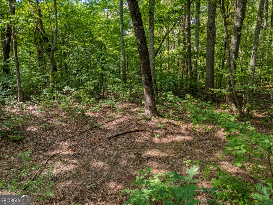 0 Clearview Drive, Talking Rock, GA 30175 - #3