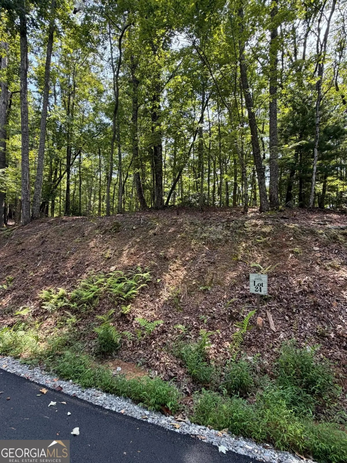 LOT 24 Prospect Ridge, Blue Ridge, GA 30513 - #1