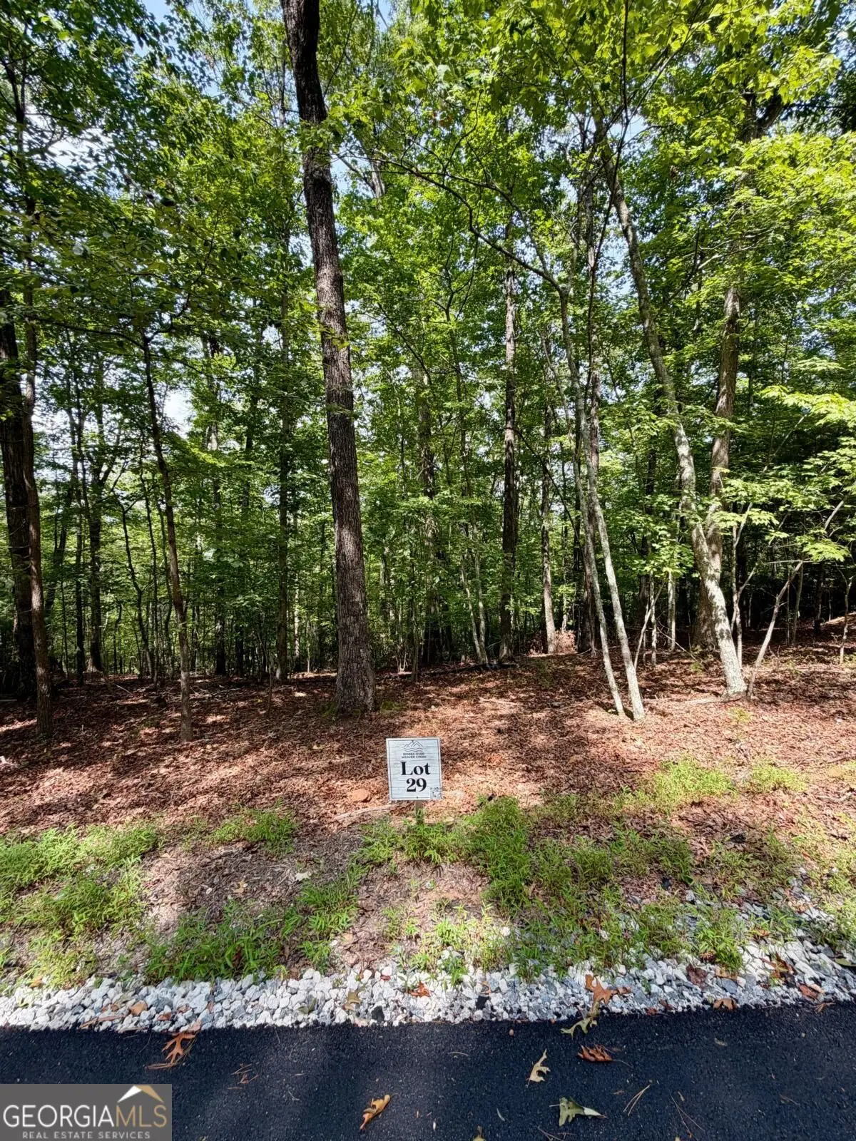 LOT 29 Prospect Ridge, Blue Ridge, GA 30513 - #1
