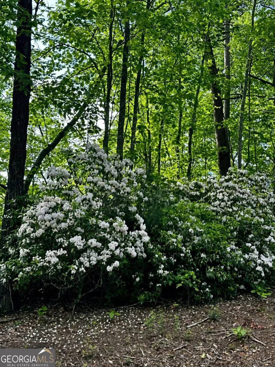LOT 27 Prospect Ridge, Blue Ridge, GA 30513 - #3