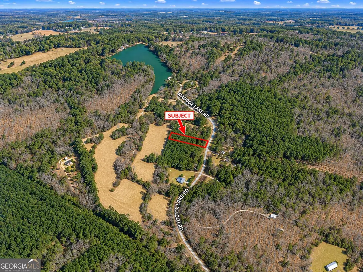 0.53 ACRES Maddox Lake Road, Summerville, GA 30747 - #1