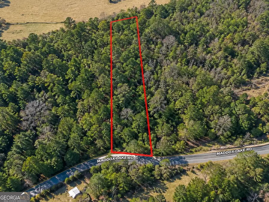 0.53 ACRES Maddox Lake Road, Summerville, GA 30747 - #2
