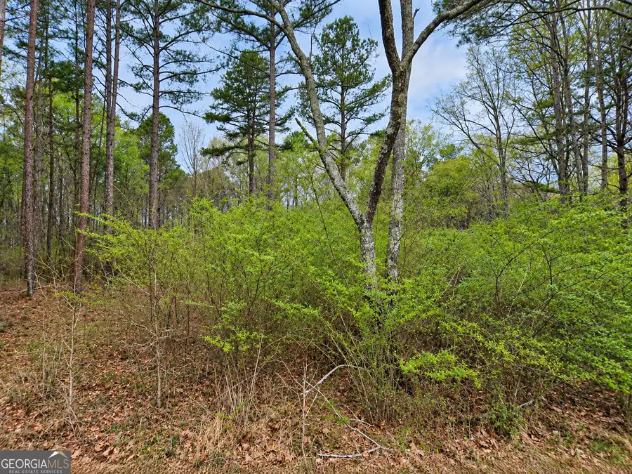 0.53 ACRES Maddox Lake Road, Summerville, GA 30747 - #3
