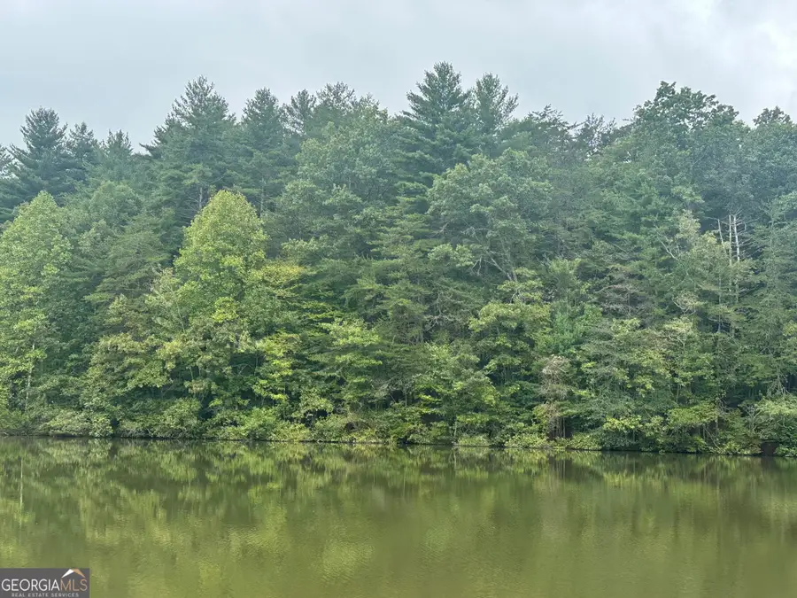 11 LOTS Mountain Lake Drive, Blue Ridge, GA 30513 - #2