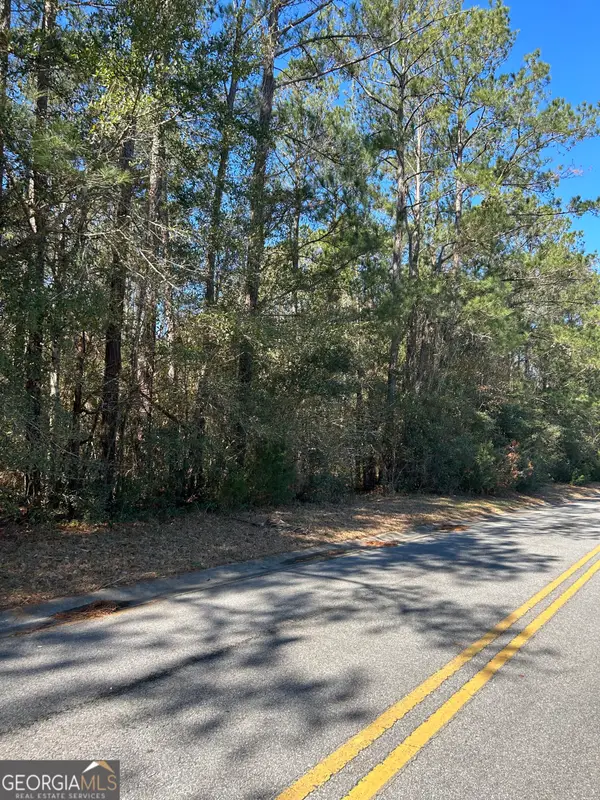 LOT 4 Palm Island Drive, Midway, GA 31320