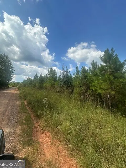 0 Cook Road #TRACT 3, Monticello, GA 31064 - #1