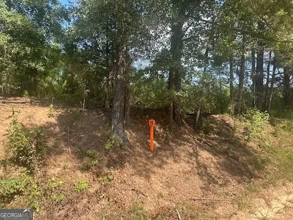 0 Cook Road #TRACT 15, Monticello, GA 31064