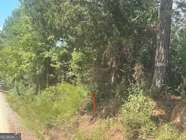 0 Cook Road #TRACT 15, Monticello, GA 31064 - #3