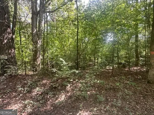 0 Millen Road #TRACT 22, Monticello, GA 31064 - #1