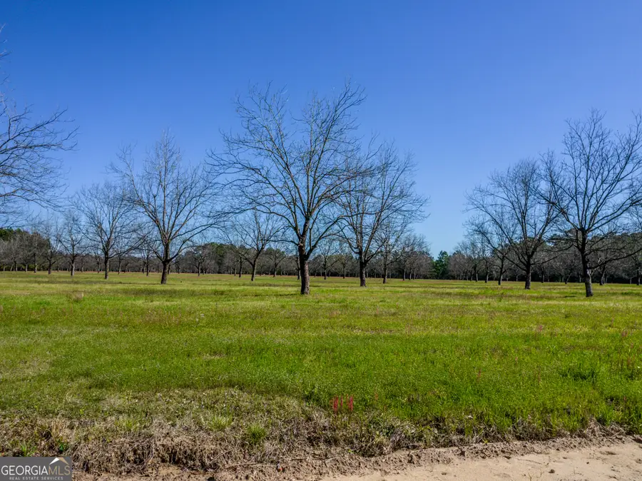 30.91 ACRES Kermit Road, Cobbtown, GA 30420 - #3