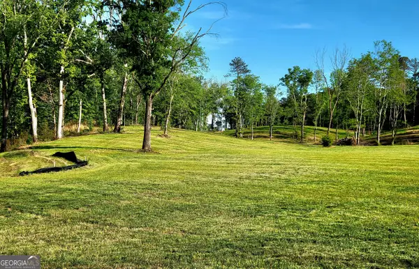 80 Mundy Road, Rydal, GA 30171