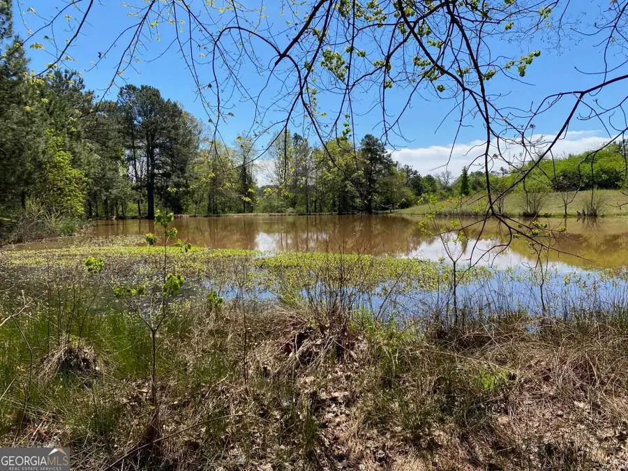 28 ACRES Hwy 36e, Thomaston, GA 30286 - #2