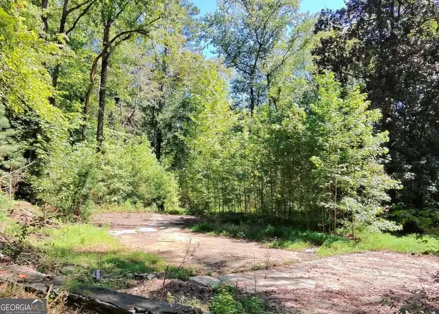 4824 Flakes Mill Road, Ellenwood, GA 30294 - #2