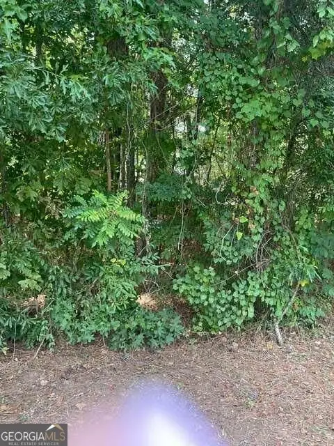 LOT  398 Little River Drive Sw, Eatonton, GA 31024 - #2