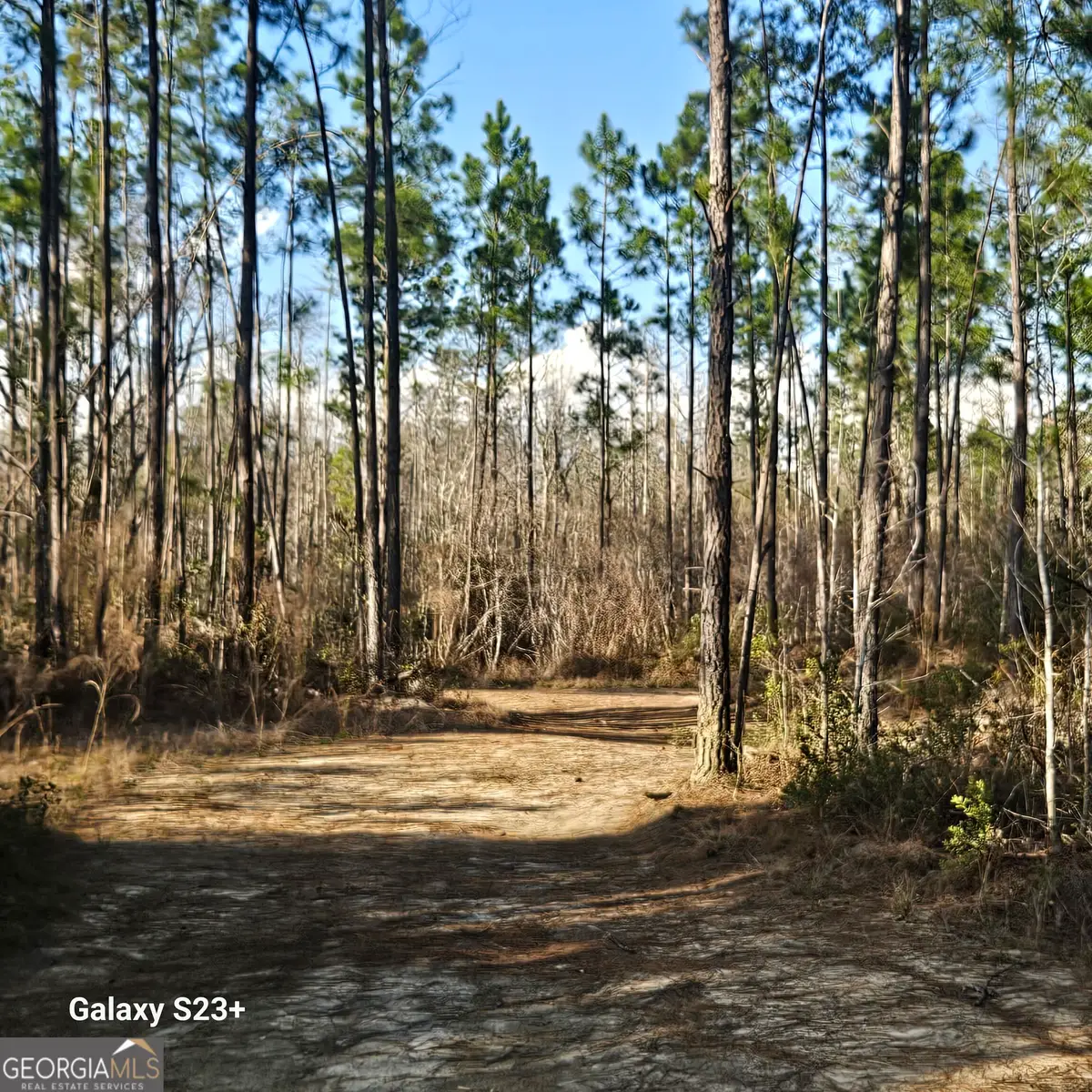 0 Mill Branch Club Rd Lot 1m Road, Nevils, GA 31321 - #1