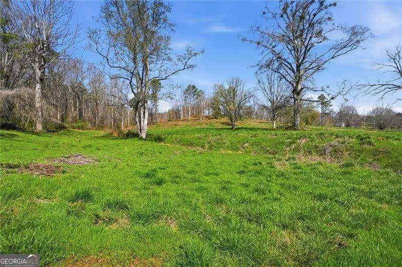 2201 Long Road, Ball Ground, GA 30107 - #3