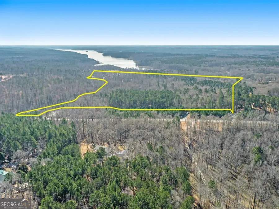 0 Hampton Locust Grove Road, Hampton, GA 30228 - #3