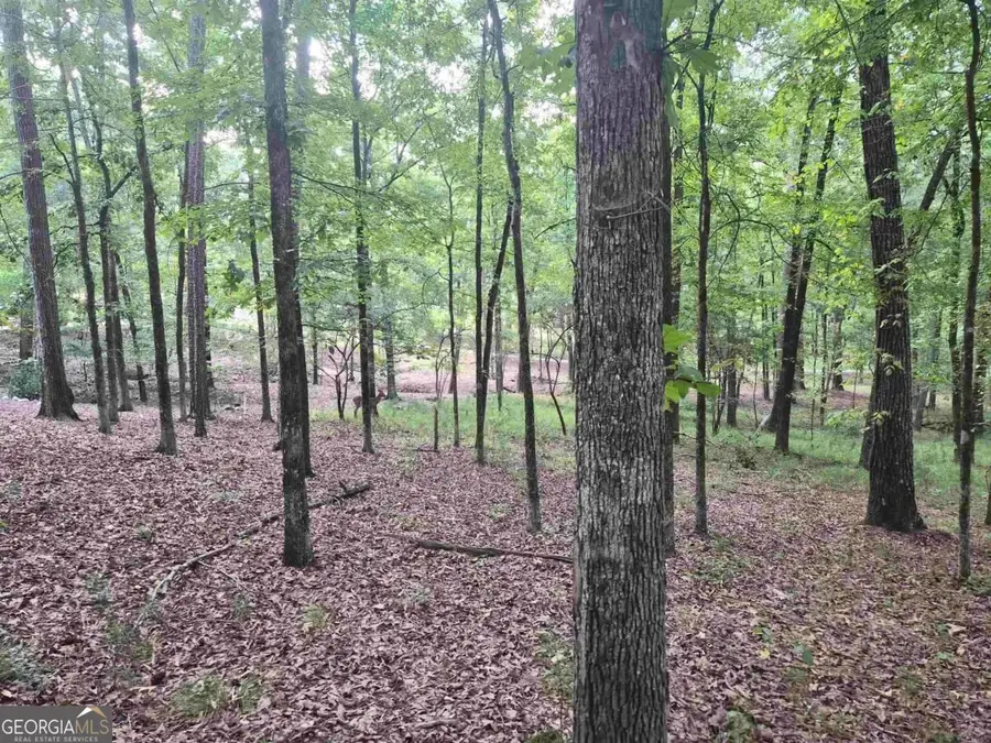1100 Centennial Post, Greensboro, GA 30642 - #3
