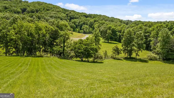 LOT 12 Squirrel Hunting Road, Morganton, GA 30560