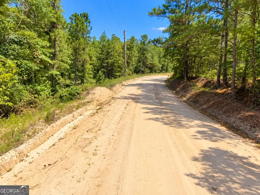 7.86 ACRES Gun Club Road, Box Springs, GA 31801 - #2