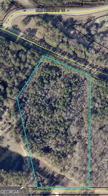 LOTS 1-5 Short Road, Sharpsburg, GA 30277 - #3