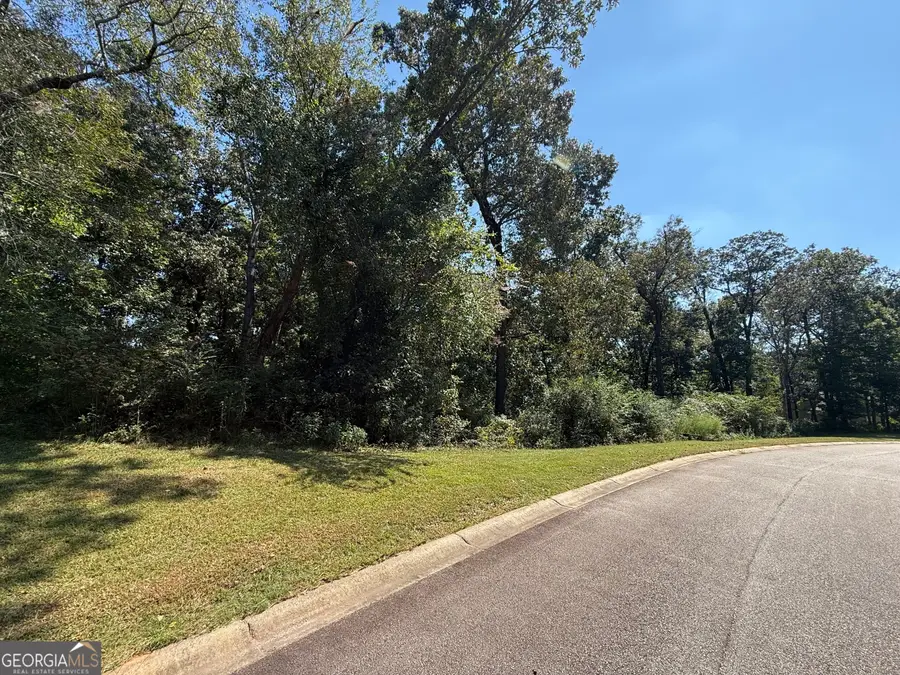 0 Mountain Vista, Clarkesville, GA 30523 - #2