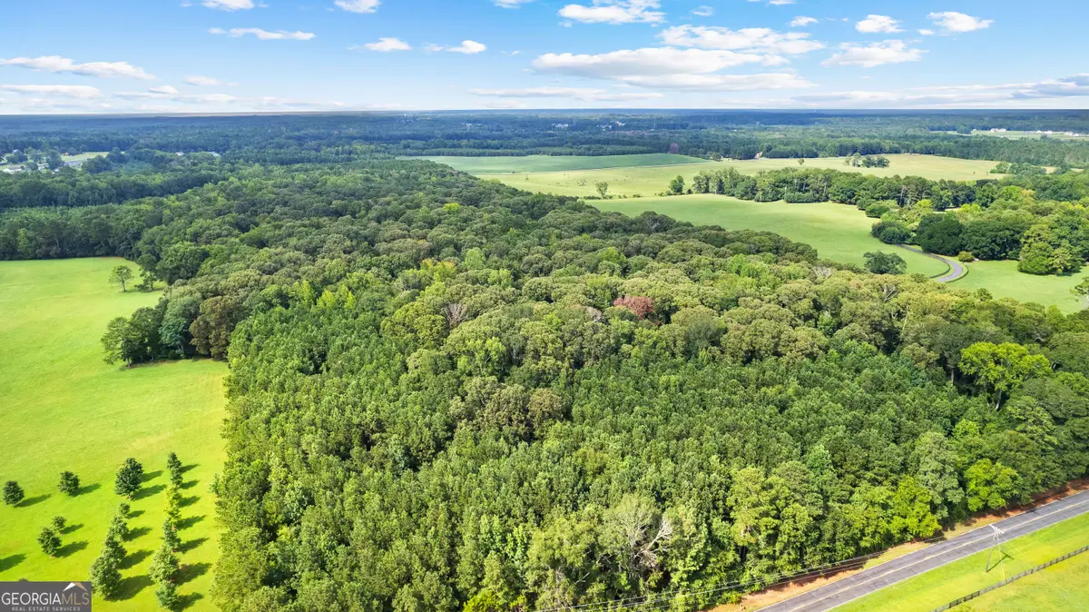 0 Sid Hunter Road #LOT 1, Sharpsburg, GA 30277 - #1