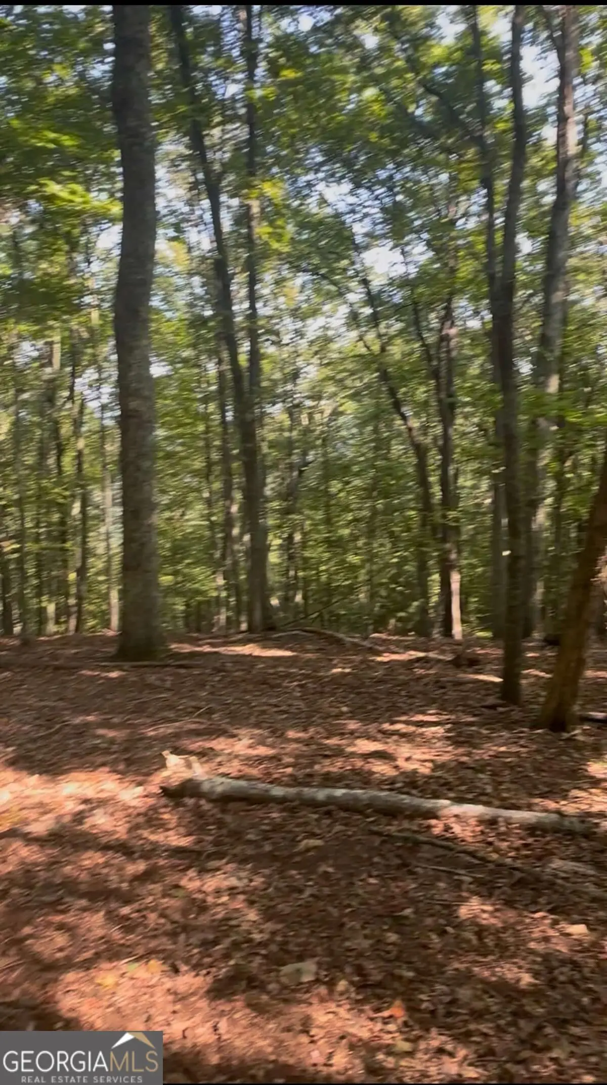 0 Brooks Ridge Road, Mineral Bluff, GA 30559 - #1