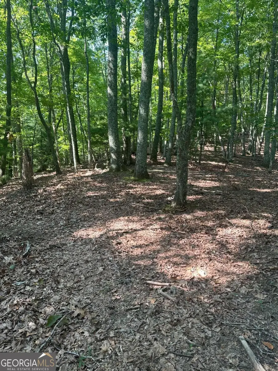 0 Brooks Ridge Road, Mineral Bluff, GA 30559 - #2