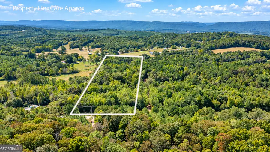 0 Ridgeway Road, Trion, GA 30753 - #2