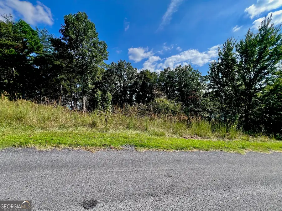 T7 Talona Mountain Road, Ellijay, GA 30536 - #3
