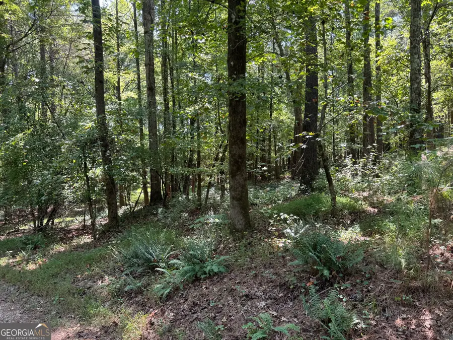 2580 Cedar Grove Road, Buckhead, GA 30625 - #2