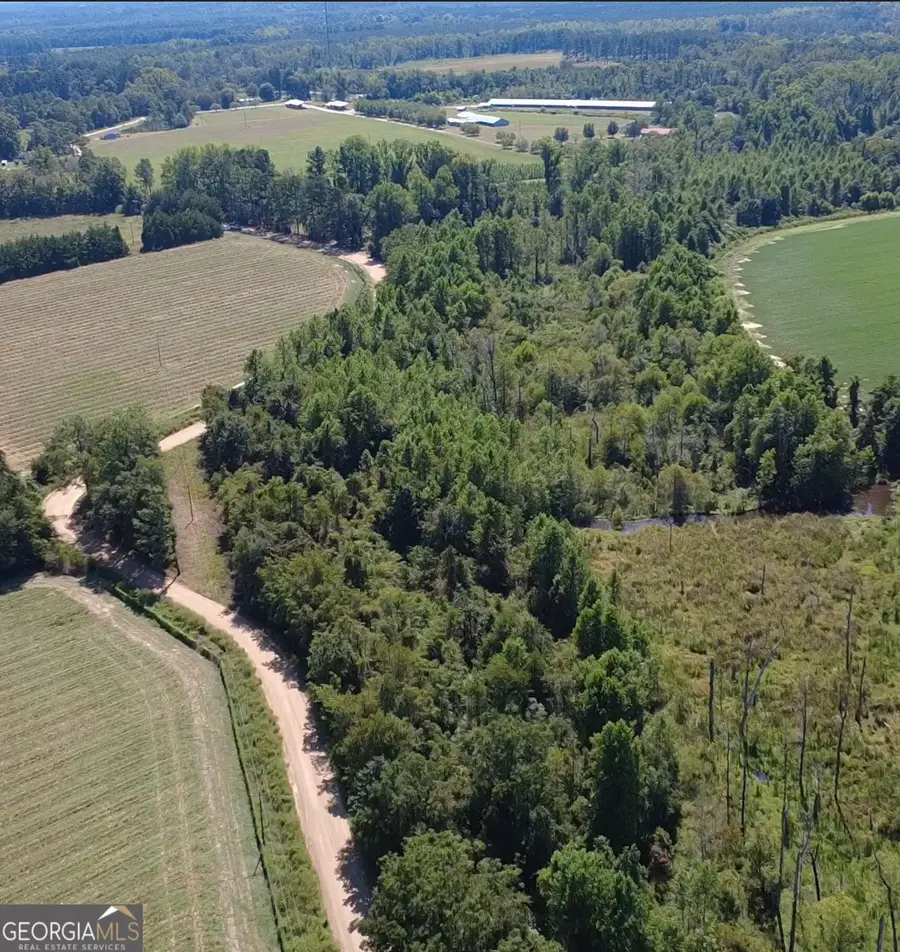 0 Rommie Thompson Rd, Claxton, GA 30417 - #2