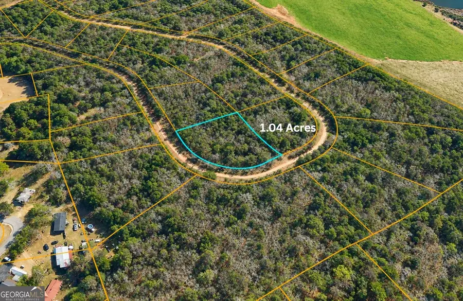 TBD1 Nelson Circle, Louisville, GA 30434 - #2